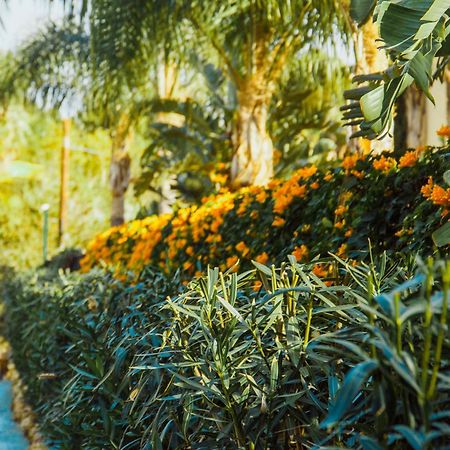 Sierra Blanca Resort Art Of Healing Μαρμπέλλα Εξωτερικό φωτογραφία